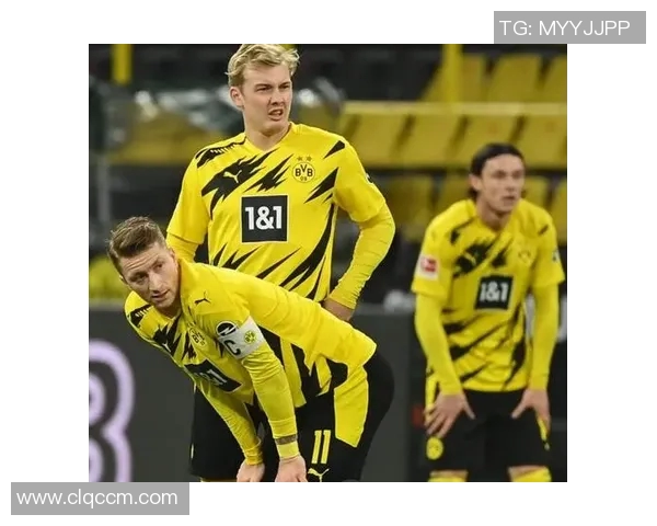 欧洲杯球队伤病管理及复出计划研究